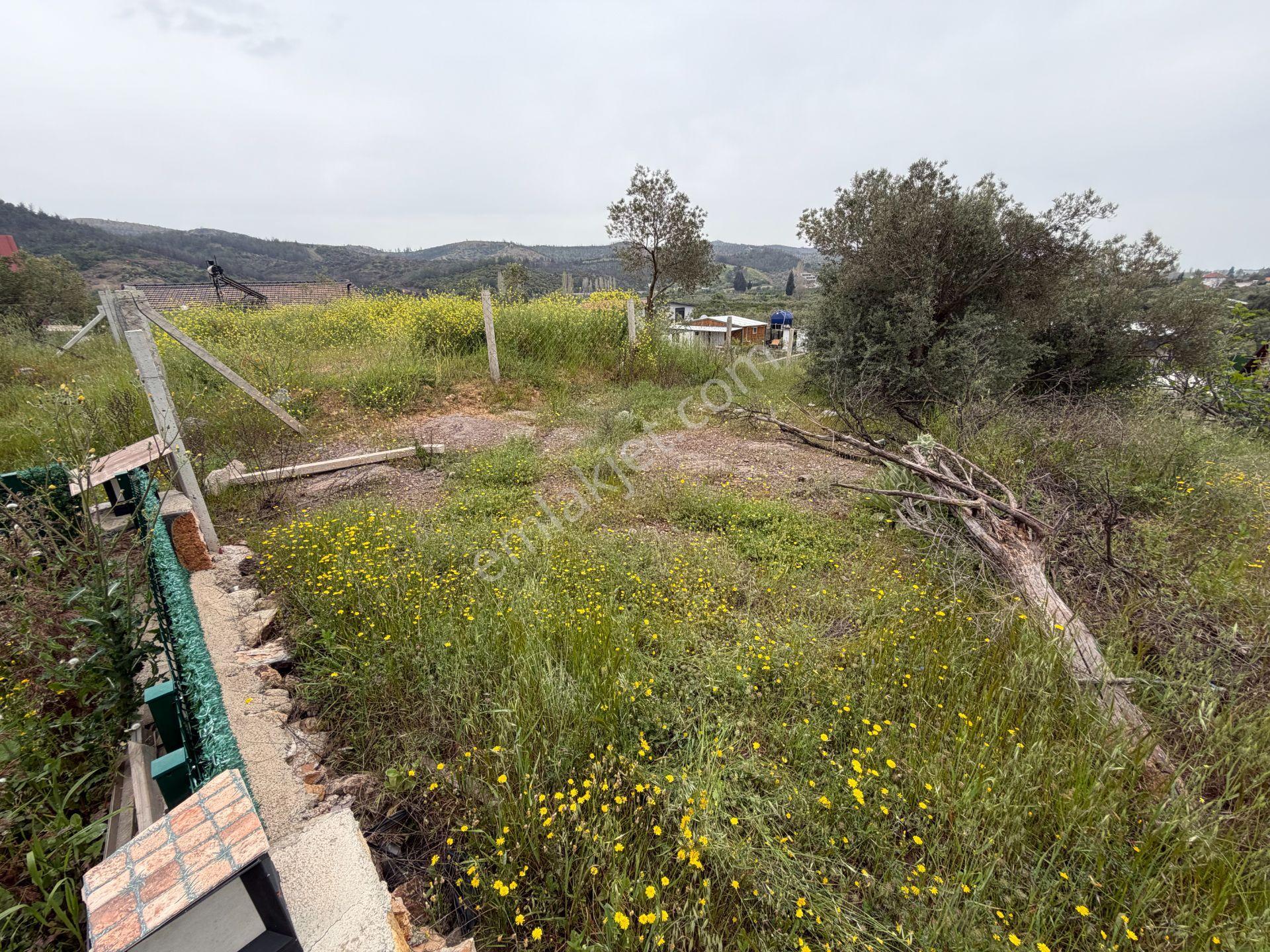 Seferihisar Doğanbey Kavakdere De Satılık 300 M2 Kupon Arsa - Görsel 4