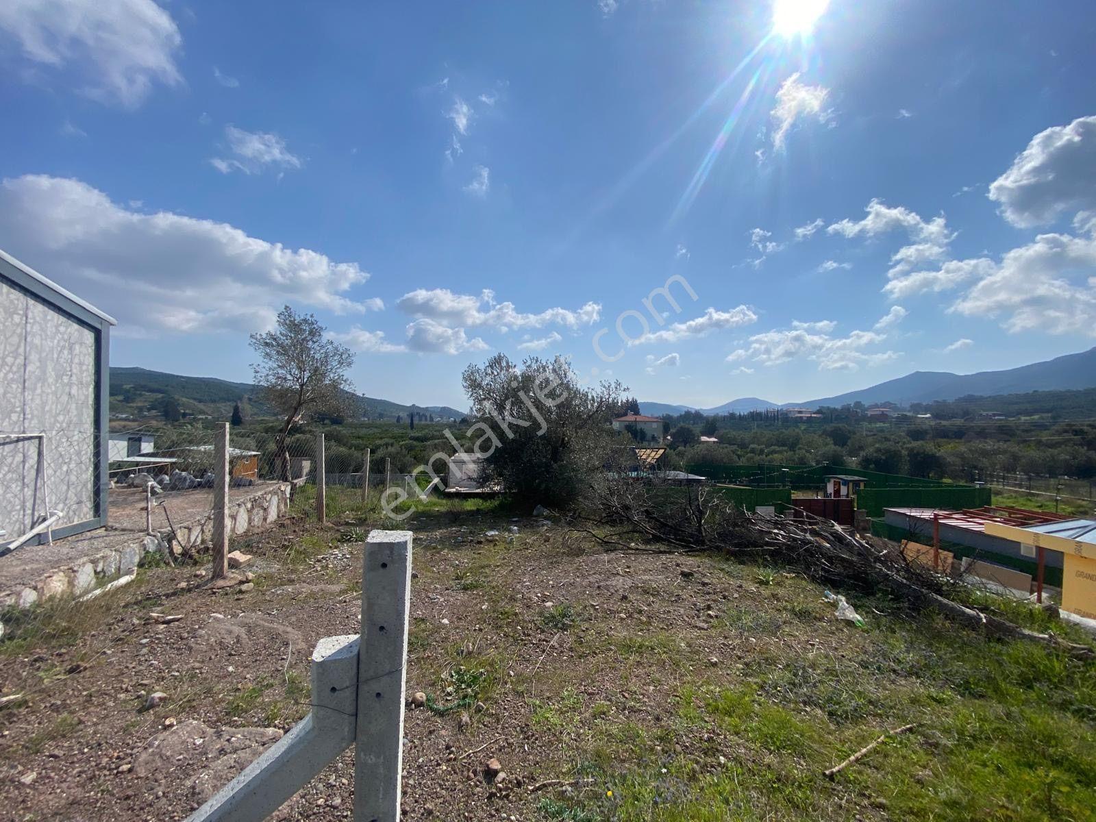 Seferihisar Doğanbey Kavakdere De Satılık 300 M2 Kupon Arsa - Görsel 16