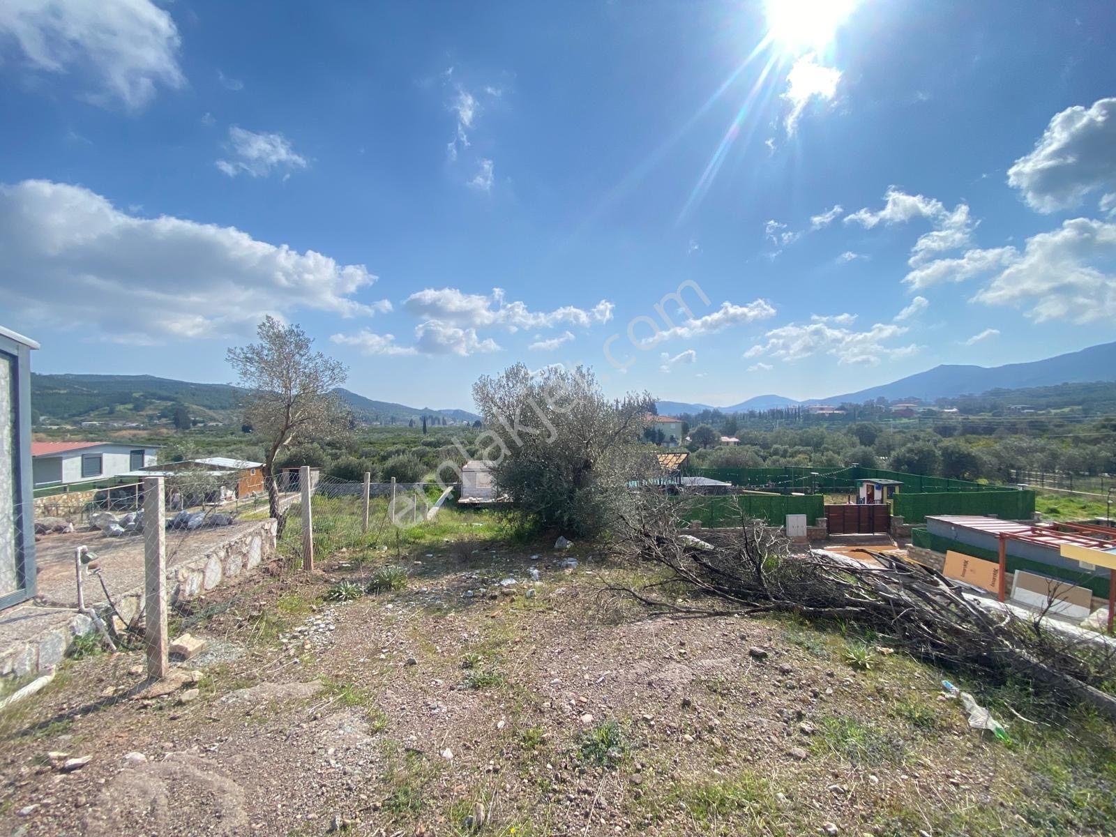Seferihisar Doğanbey Kavakdere De Satılık 300 M2 Kupon Arsa - Görsel 13