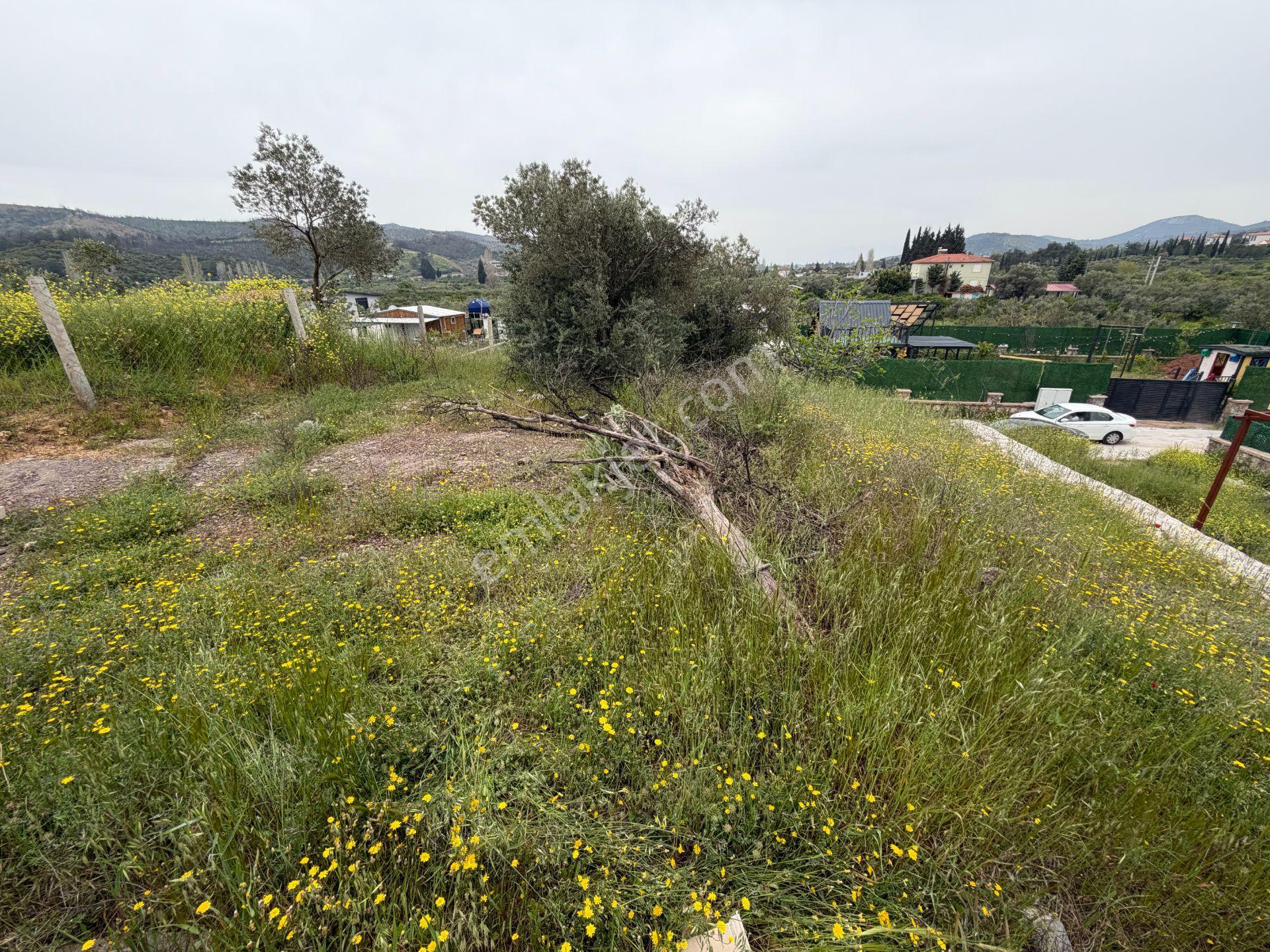 Seferihisar Doğanbey Kavakdere De Satılık 300 M2 Kupon Arsa