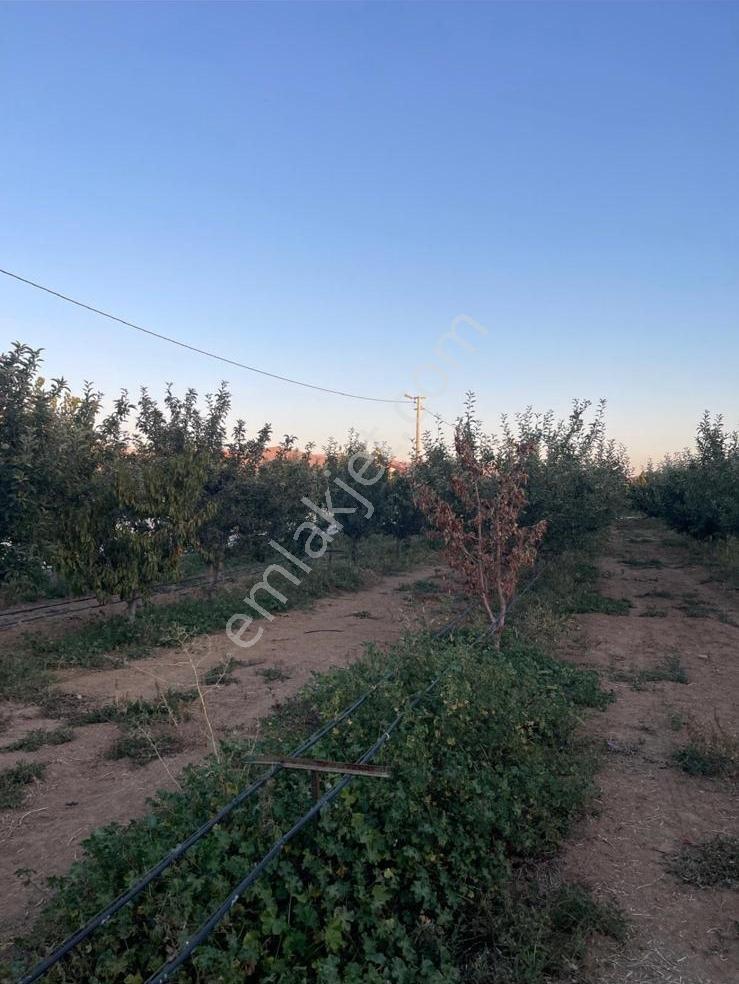 Cm Emlak Sazlıca Yukarı Mah. Doğalgaz Önünde 707 M2 Arsa - Görsel 9