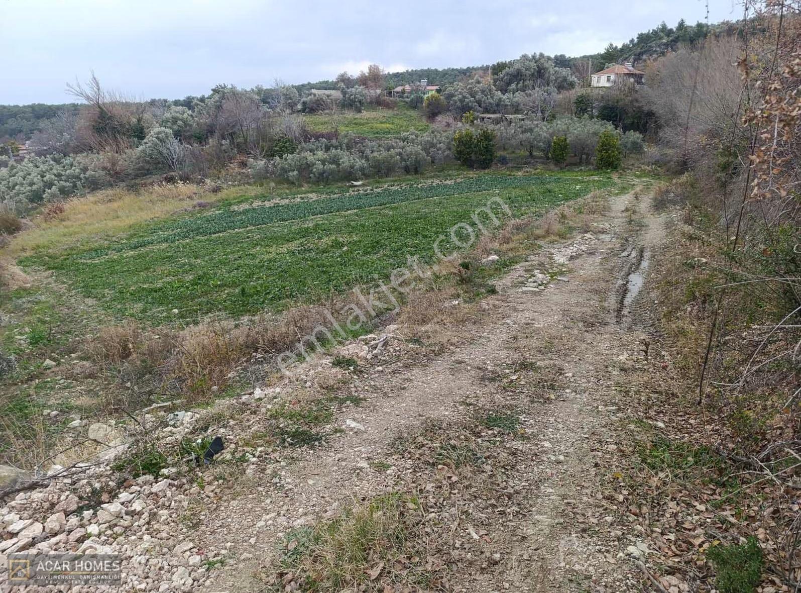 Seydikemer Bağlıağaç Köy İçi İmarlı 4958 M2 Kadastol Yolu Var - Görsel 11