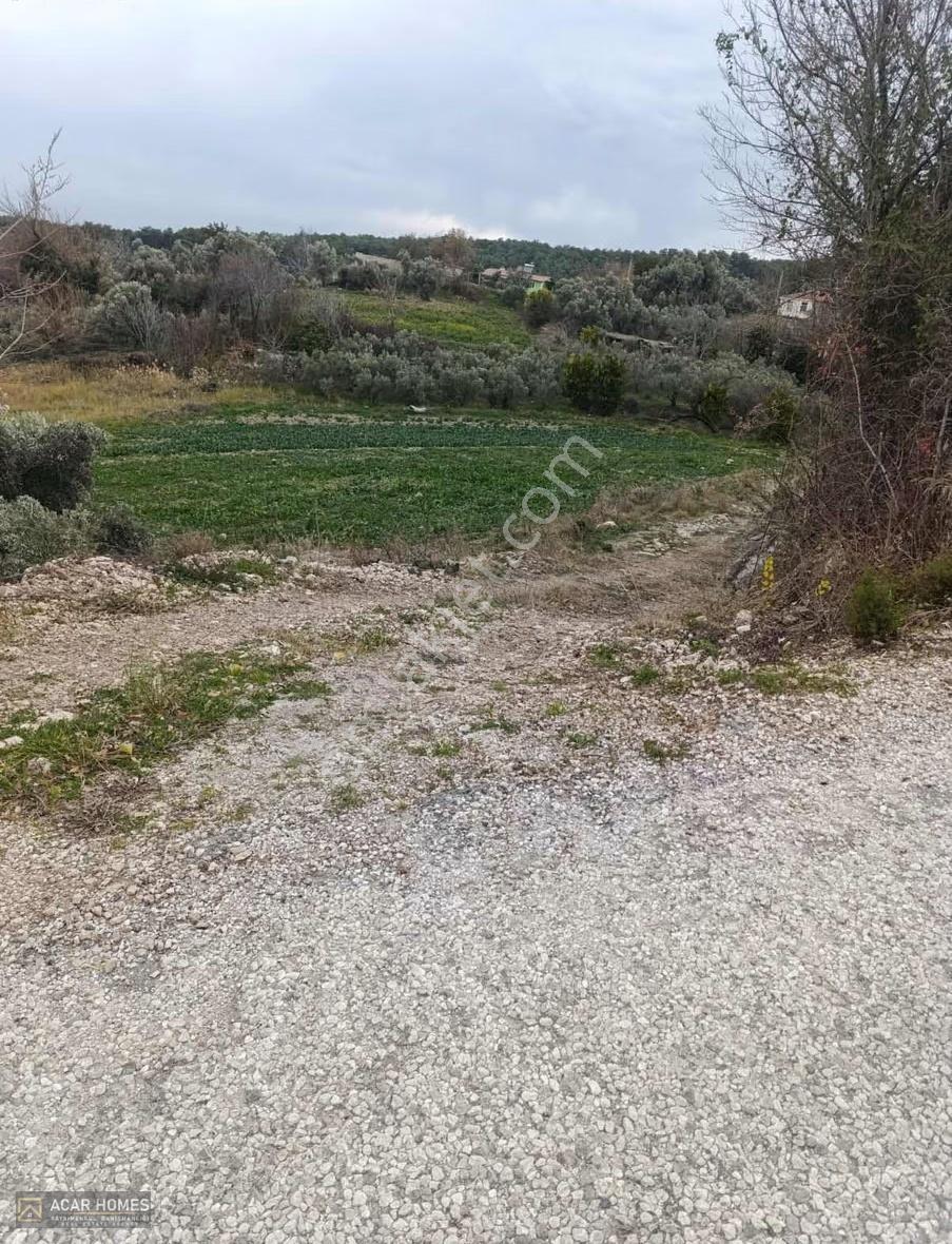 Seydikemer Bağlıağaç Köy İçi İmarlı 4958 M2 Kadastol Yolu Var - Görsel 10
