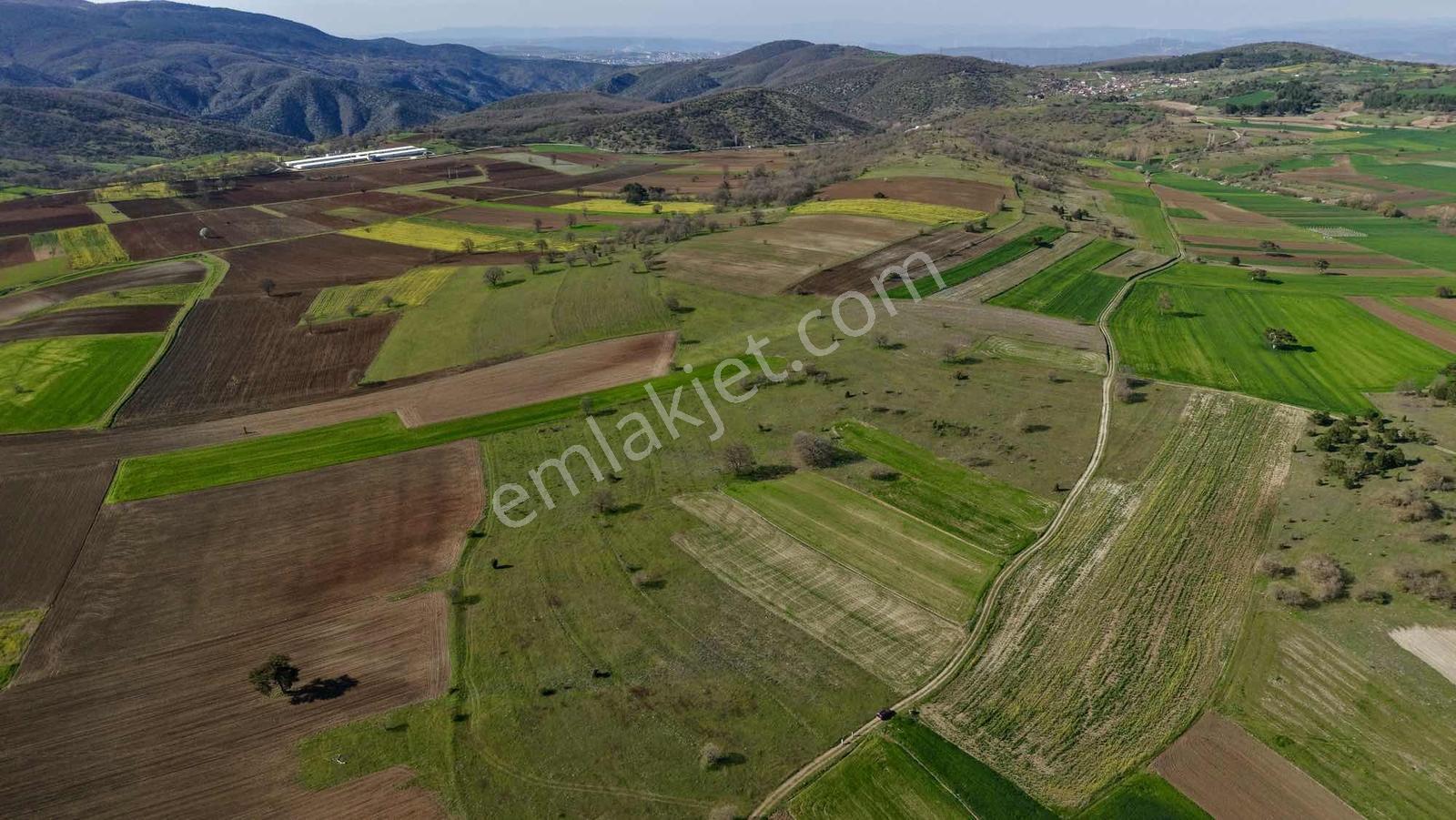 Yatırım Fırsatı! Osb Ve Gelişime Yakın Yola Cephe 1871 M2 Tarla