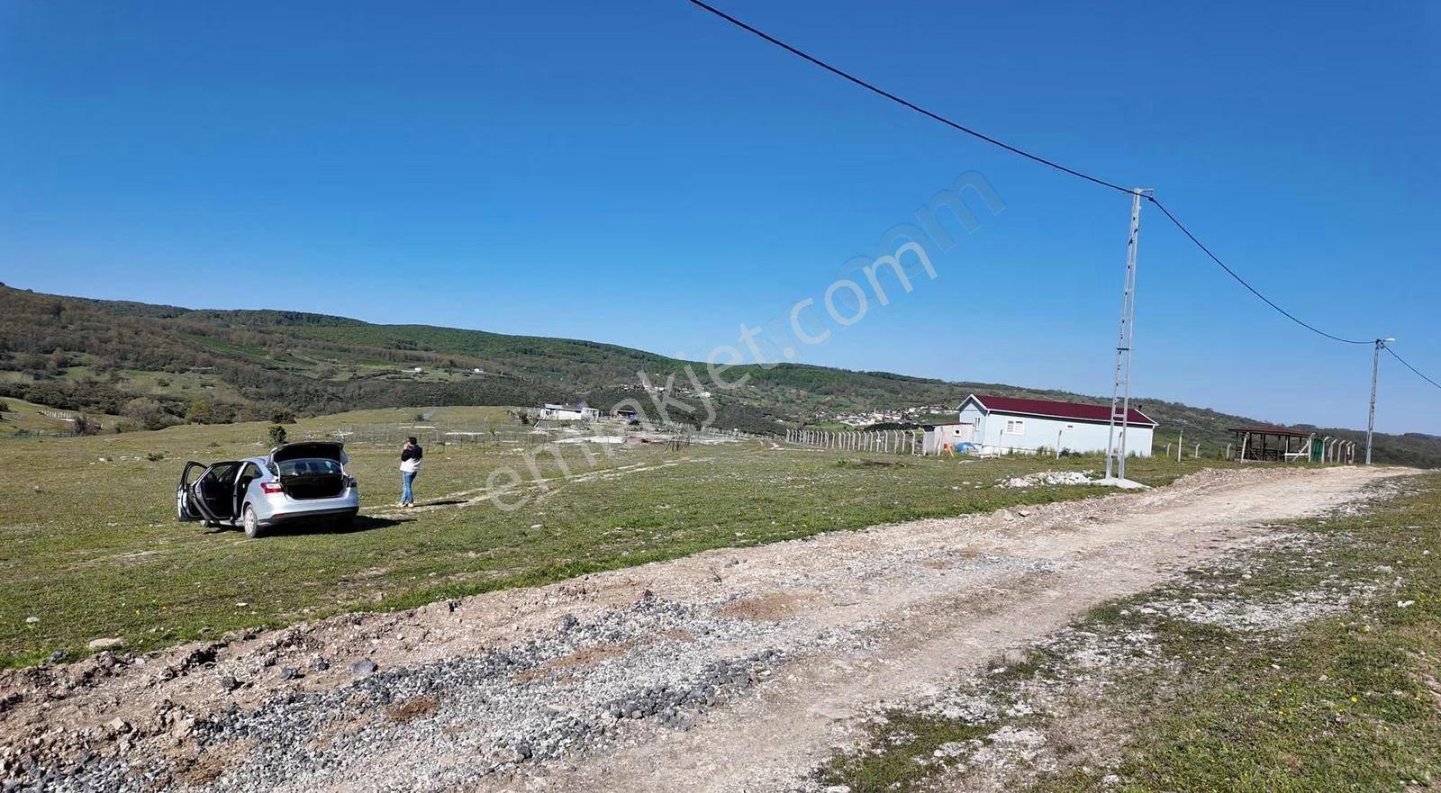 Kandıra Kubuzcuda 4.308 M² Yola Cepheli Satılık Tarla - Görsel 5