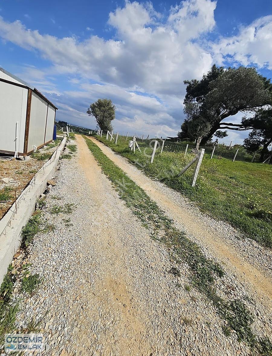 Özdemir Emlaktan Menderes E 5 Dk Uzaklıkta 220 M2 Hobi Bahçesi - Görsel 18