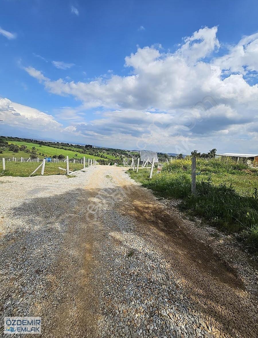 Özdemir Emlaktan Menderes E 5 Dk Uzaklıkta 220 M2 Hobi Bahçesi - Görsel 13