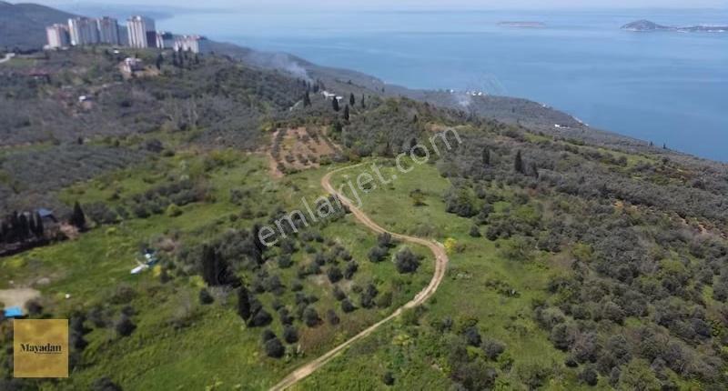 Mayadan Edincik' De Deniz Manzaralı Arsa - Görsel 16