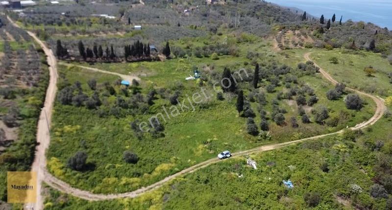 Mayadan Edincik' De Deniz Manzaralı Arsa