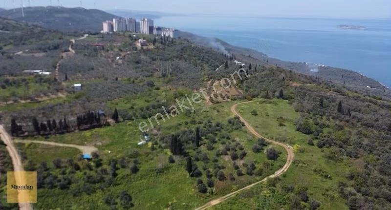 Mayadan Edincik' De Deniz Manzaralı Arsa - Görsel 8