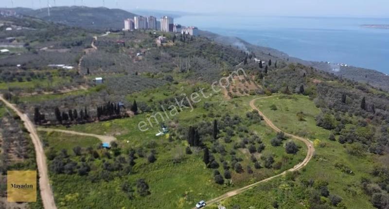 Mayadan Edincik' De Deniz Manzaralı Arsa - Görsel 4