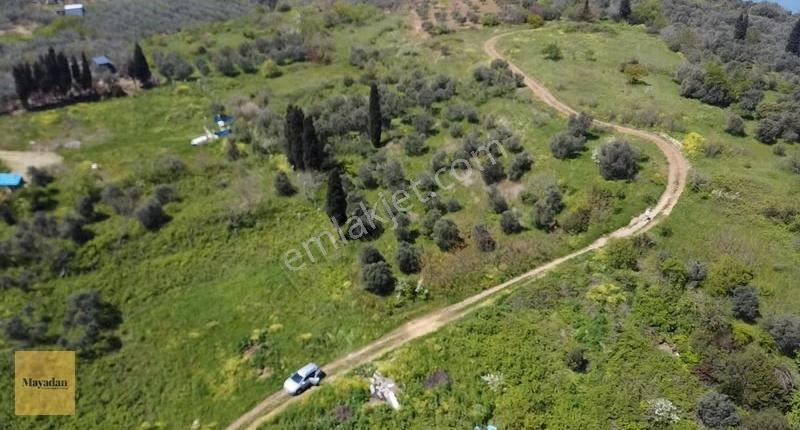 Mayadan Edincik' De Deniz Manzaralı Arsa - Görsel 12
