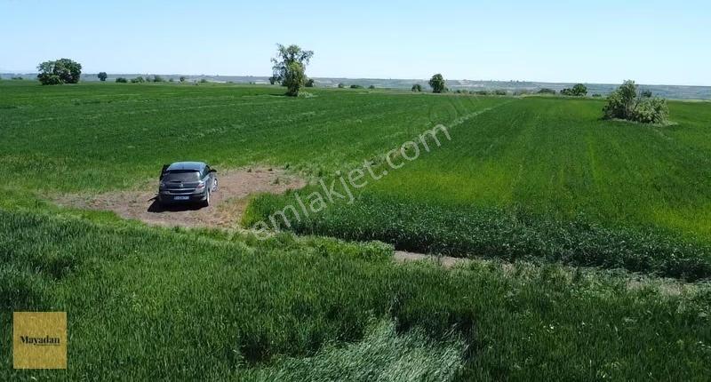 Mayadan Babaeski/karahalil'de 7.176m2 Satılık Arazi - Görsel 21