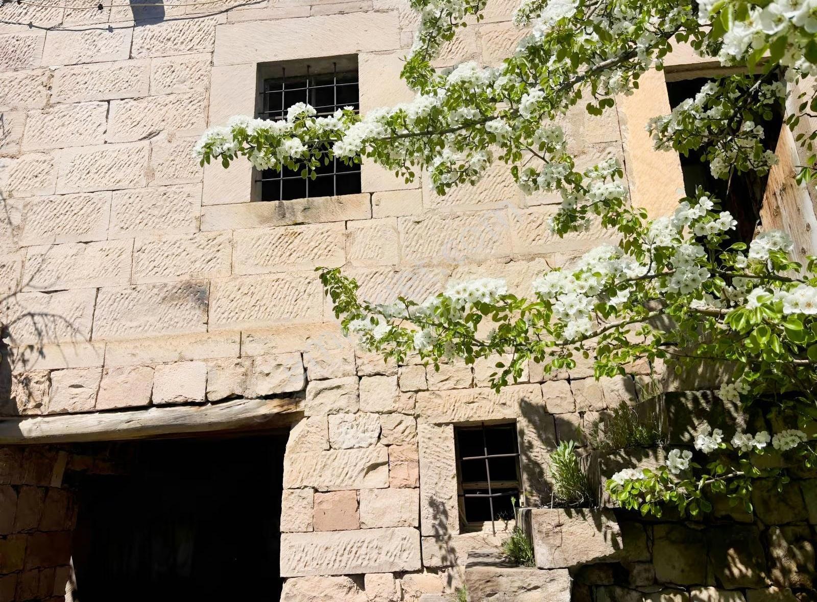 Ağırnas Merkezde Tadilat Gerektiren Müstakil Ev - 248m²