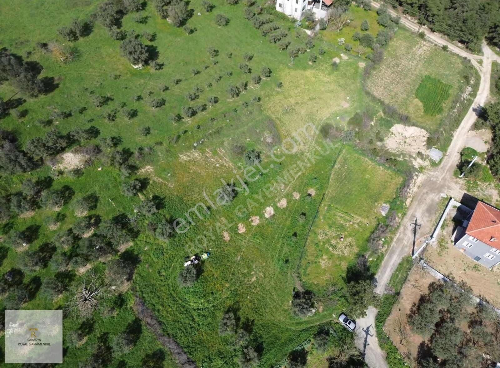 Sakarya Royal'den Geyve'satılık İmarlı Arsa - Görsel 19