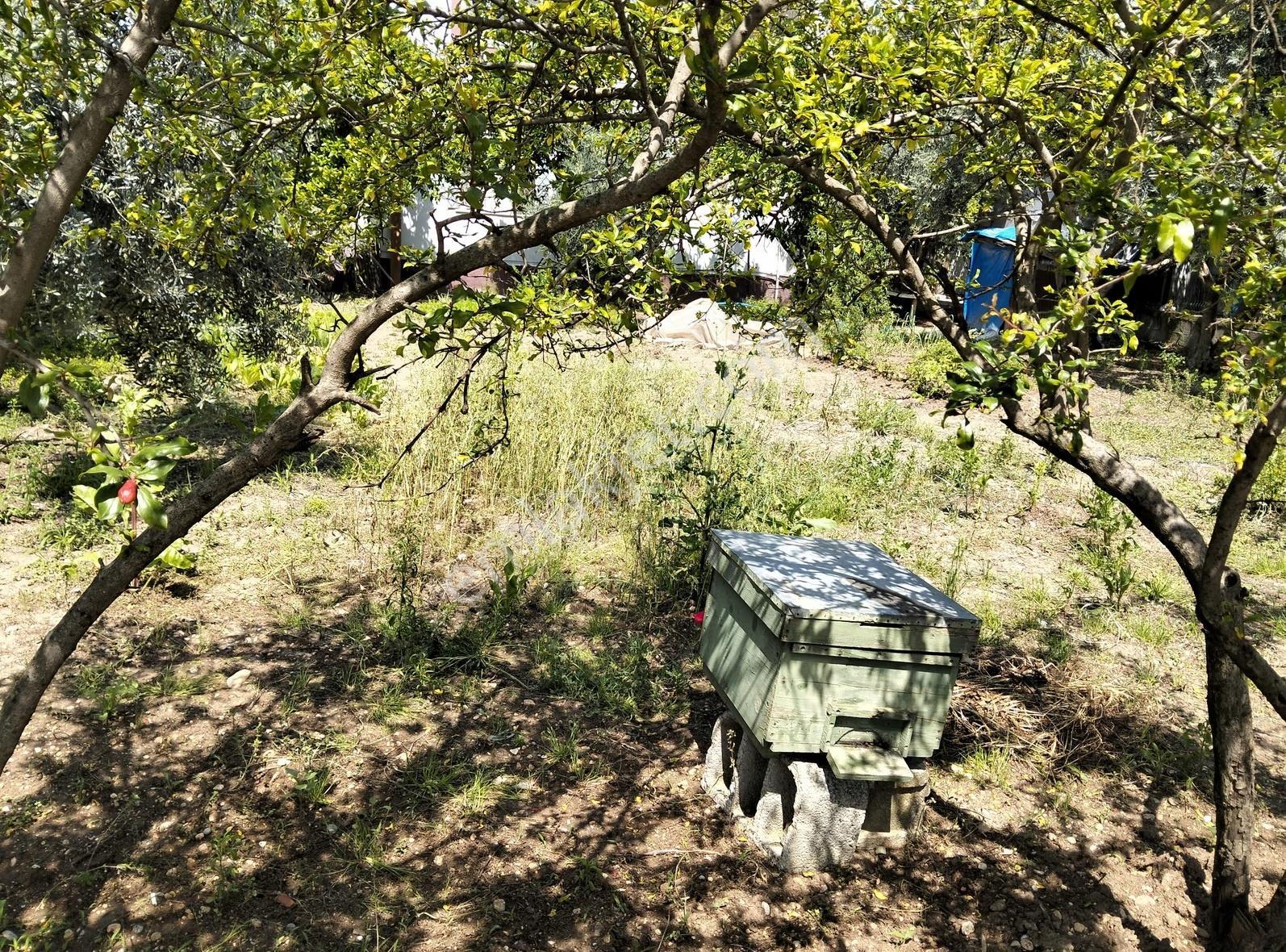 Gök Emlaktan Köşe Başı Müstakil Arsa - Görsel 2