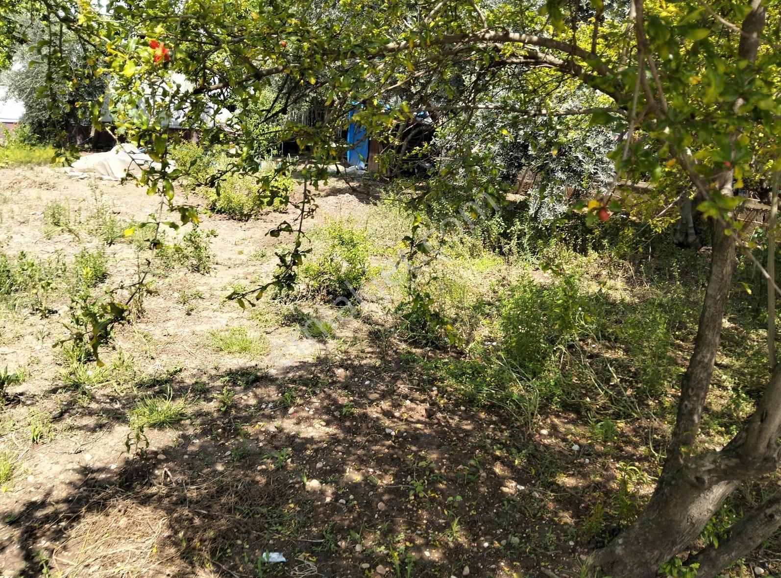 Gök Emlaktan Köşe Başı Müstakil Arsa - Görsel 13