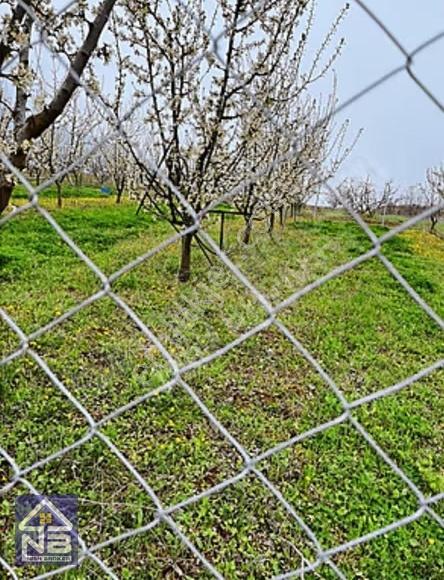 Hobi Bahçesi İnegöl Akıncılar - Görsel 8