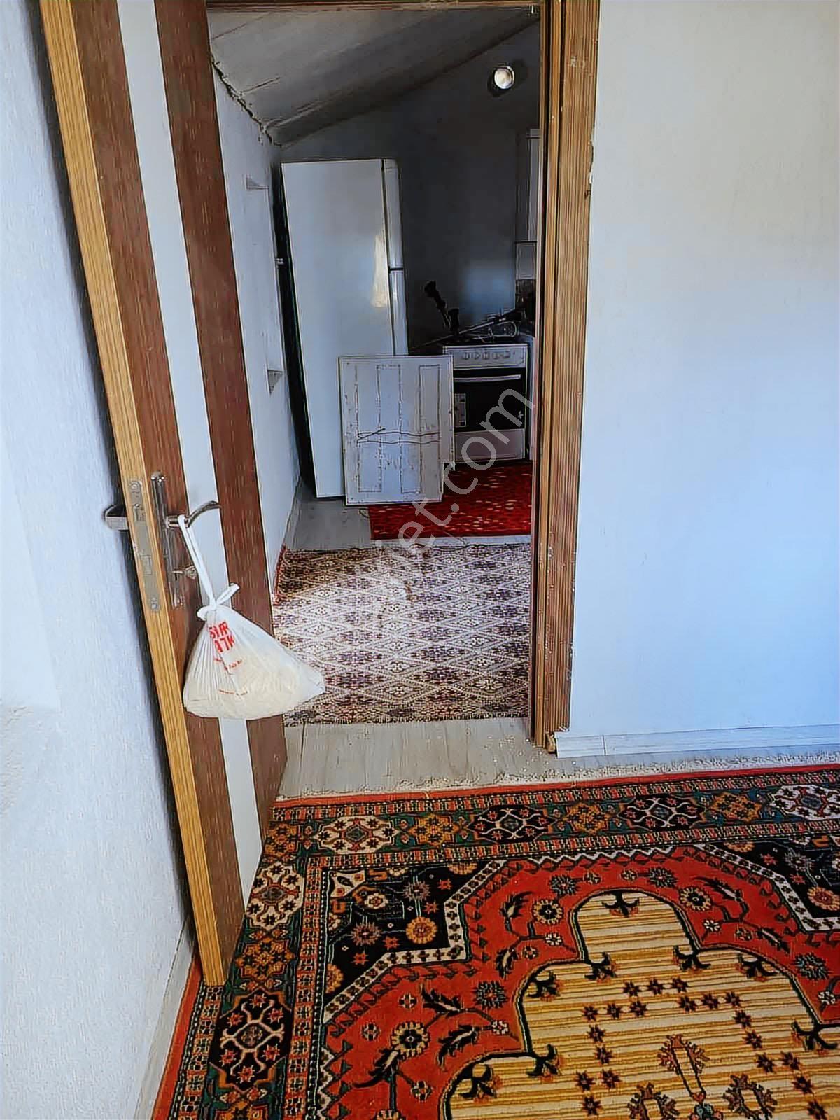 Atabey Harmanören Satılık Üzüm Bahçesi - Görsel 24