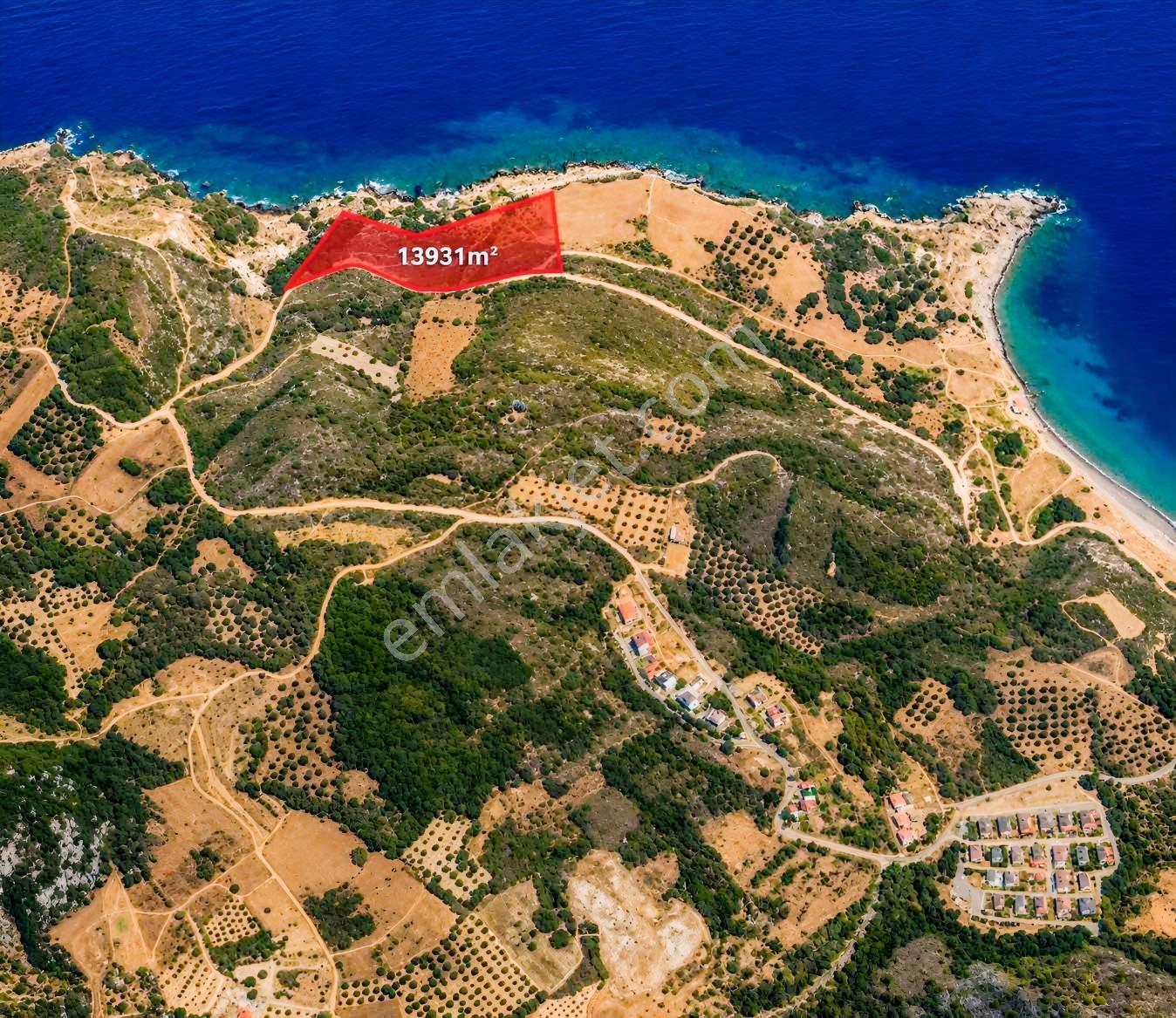 Karaburun Tepebozda Denize Sıfır 14 Dönüm Tarla - Görsel 7