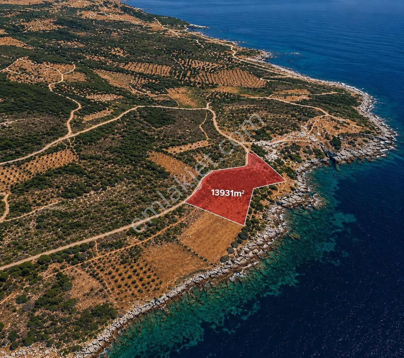 Karaburun Tepebozda Denize Sıfır 14 Dönüm Tarla - Görsel 9