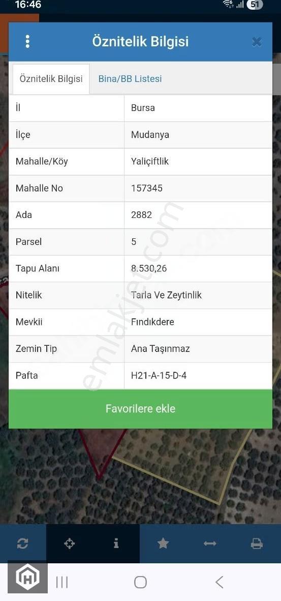 Mudanya Yalıçiftlik Satılık Ana Yola 2 Parsel 1706mt2 Zeytinlik - Görsel 15
