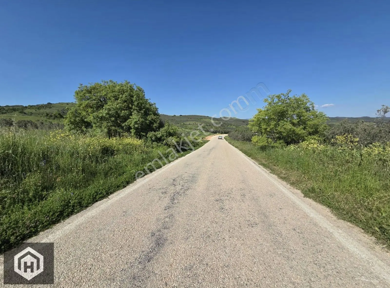 Mudanya Yalıçiftlik Satılık Ana Yola 2 Parsel 1706mt2 Zeytinlik