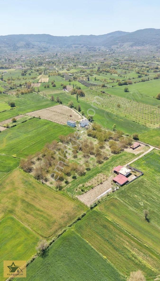 Muğla Yeşilyurt Mah. 4.528m² Bağevi+meyve Bahçesi - Görsel 5