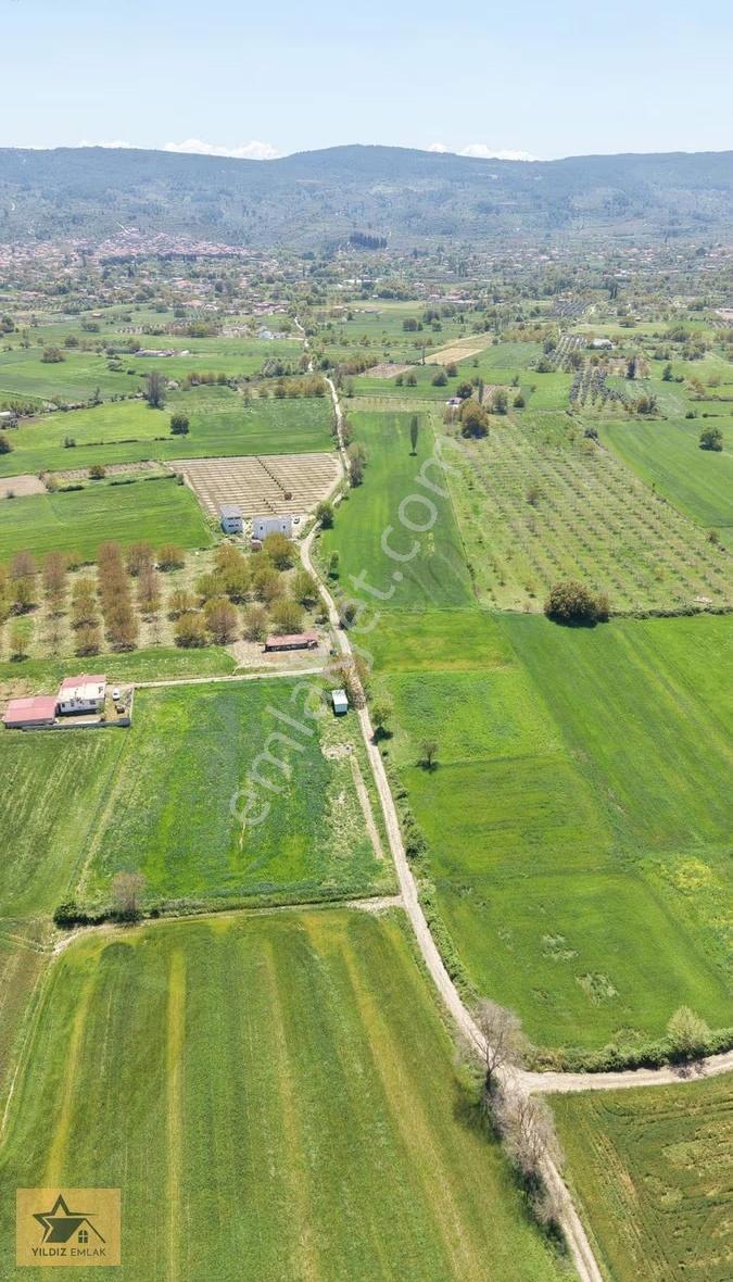 Muğla Yeşilyurt Mah. 4.528m² Bağevi+meyve Bahçesi - Görsel 8