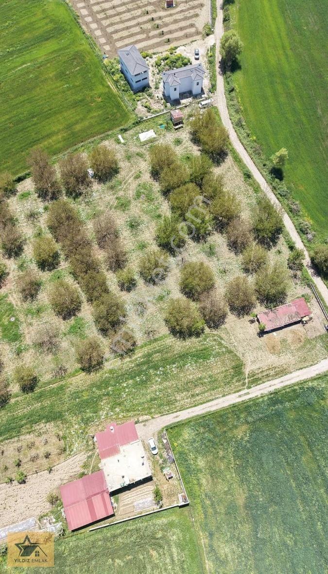 Muğla Yeşilyurt Mah. 4.528m² Bağevi+meyve Bahçesi