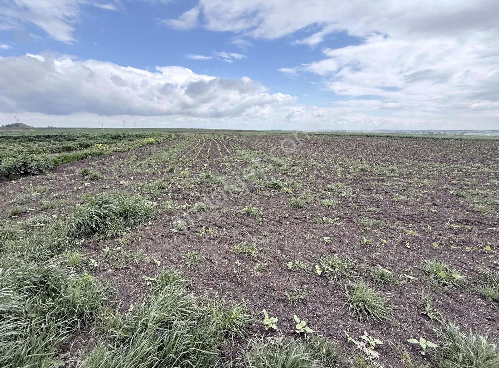 Eskibedir'de Satılık Ana Yola Yakın Müstakil Tarla 7003 M2 - Görsel 10