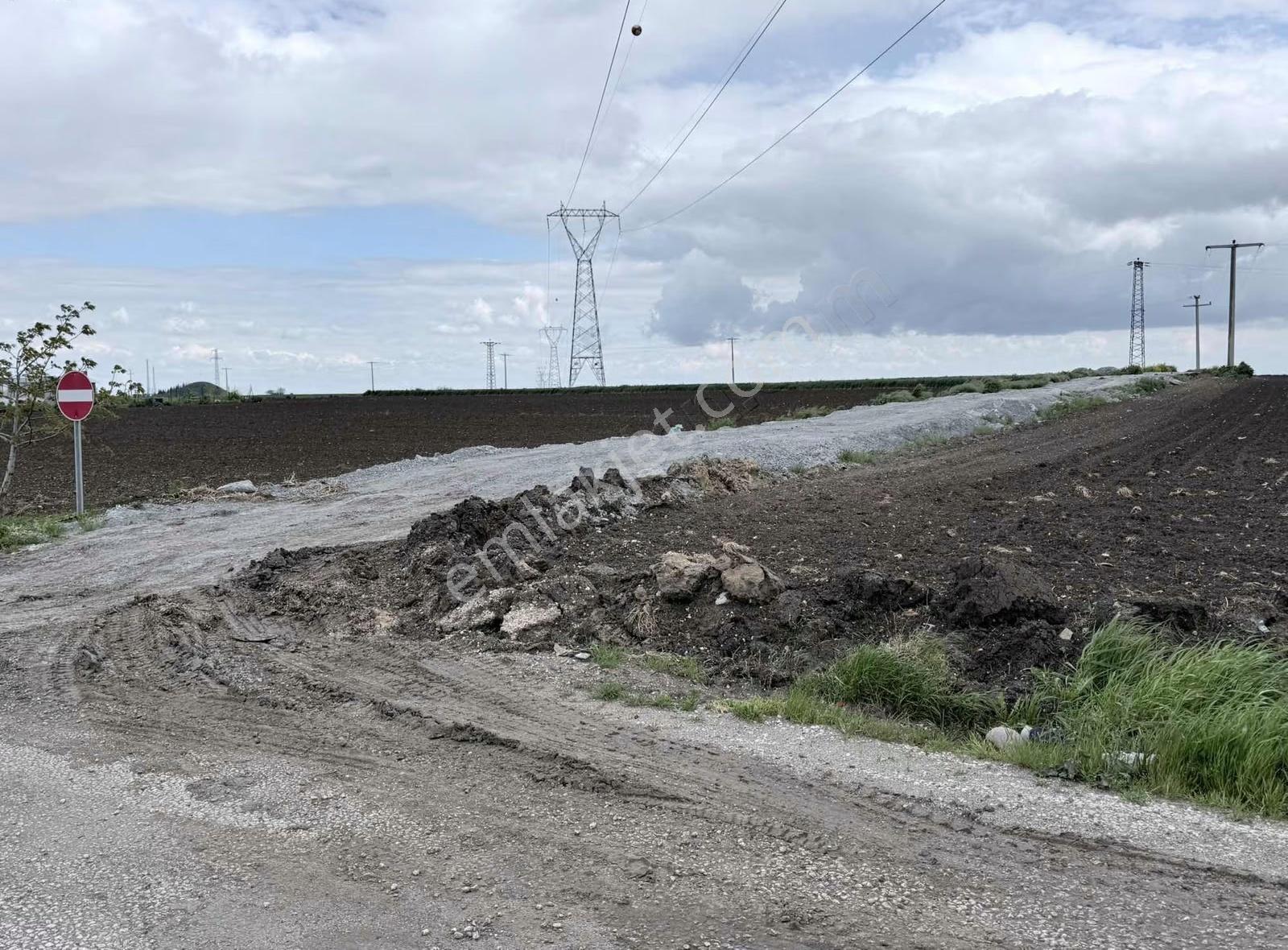 Eskibedir'de Satılık Ana Yola Yakın Müstakil Tarla 7003 M2 - Görsel 3