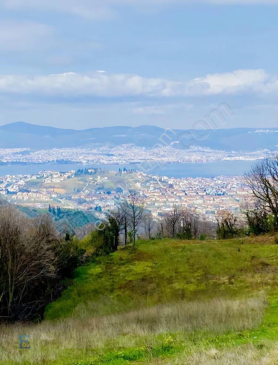 Deniz Manzaralı Kadastro Yollu 6111m2 Fırsat Arazi
