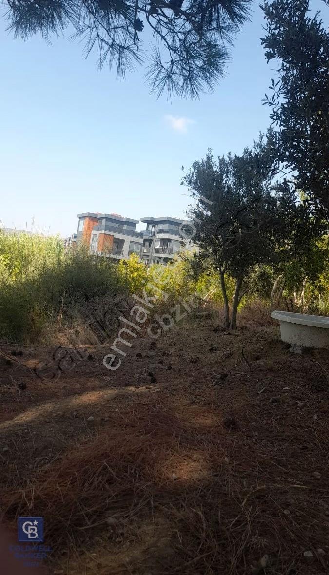 Coldwell Banker Zirveden Evrensekide Satılık 2466 M2 Arsa - Görsel 6