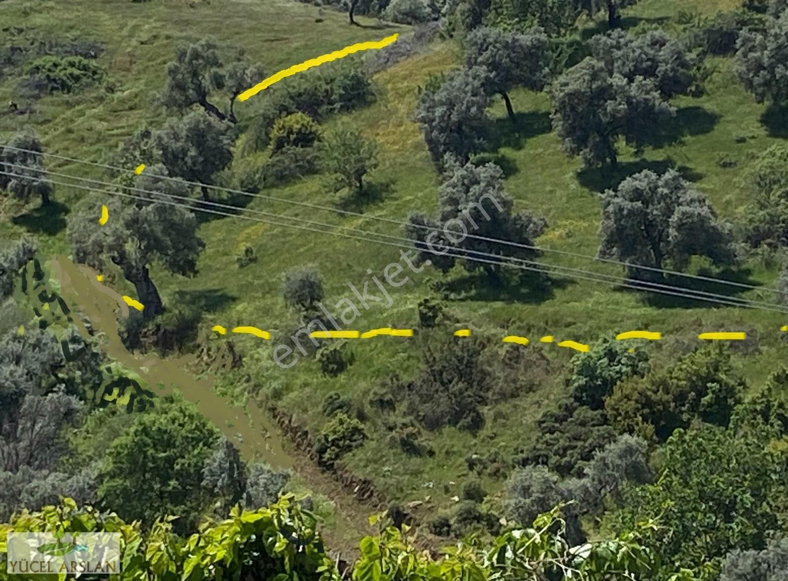 Bayındır Alanköy Köy Merkezinde 6.744 M2 Satılık Tarla Vebahçe