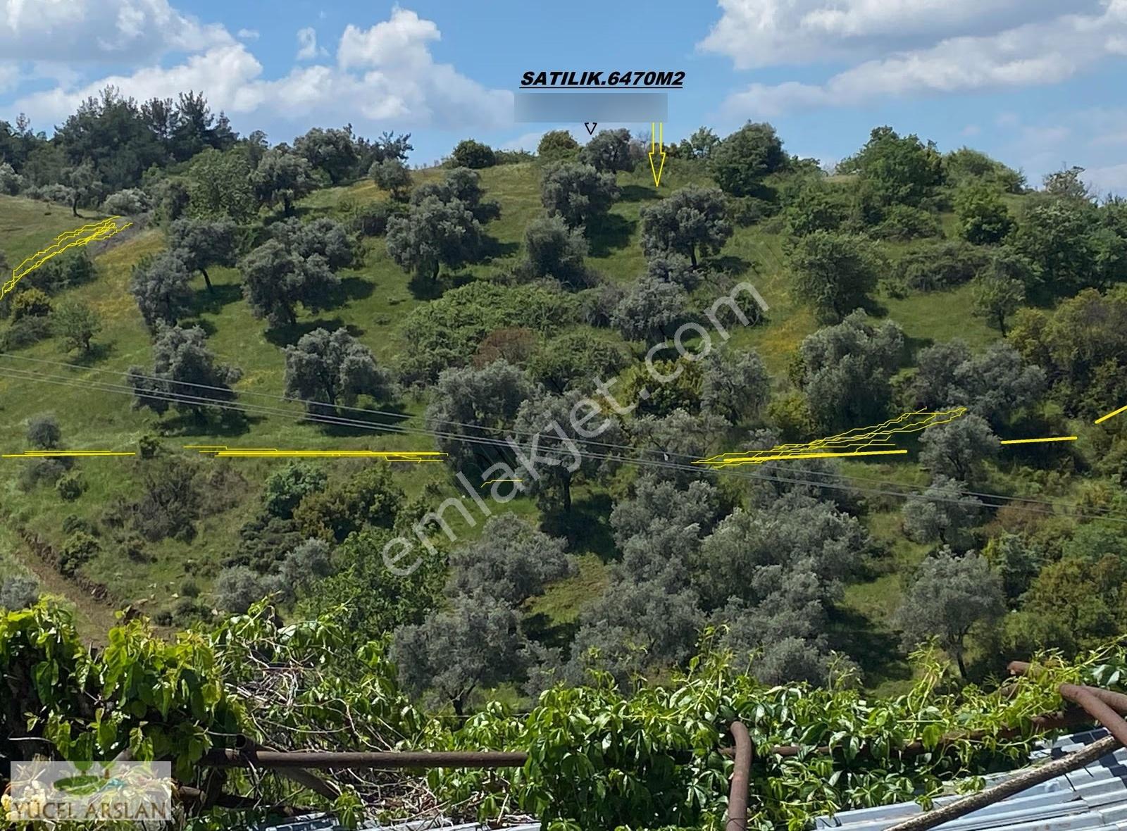 Bayındır Alanköy Köy Merkezinde 6.744 M2 Satılık Tarla Vebahçe - Görsel 5