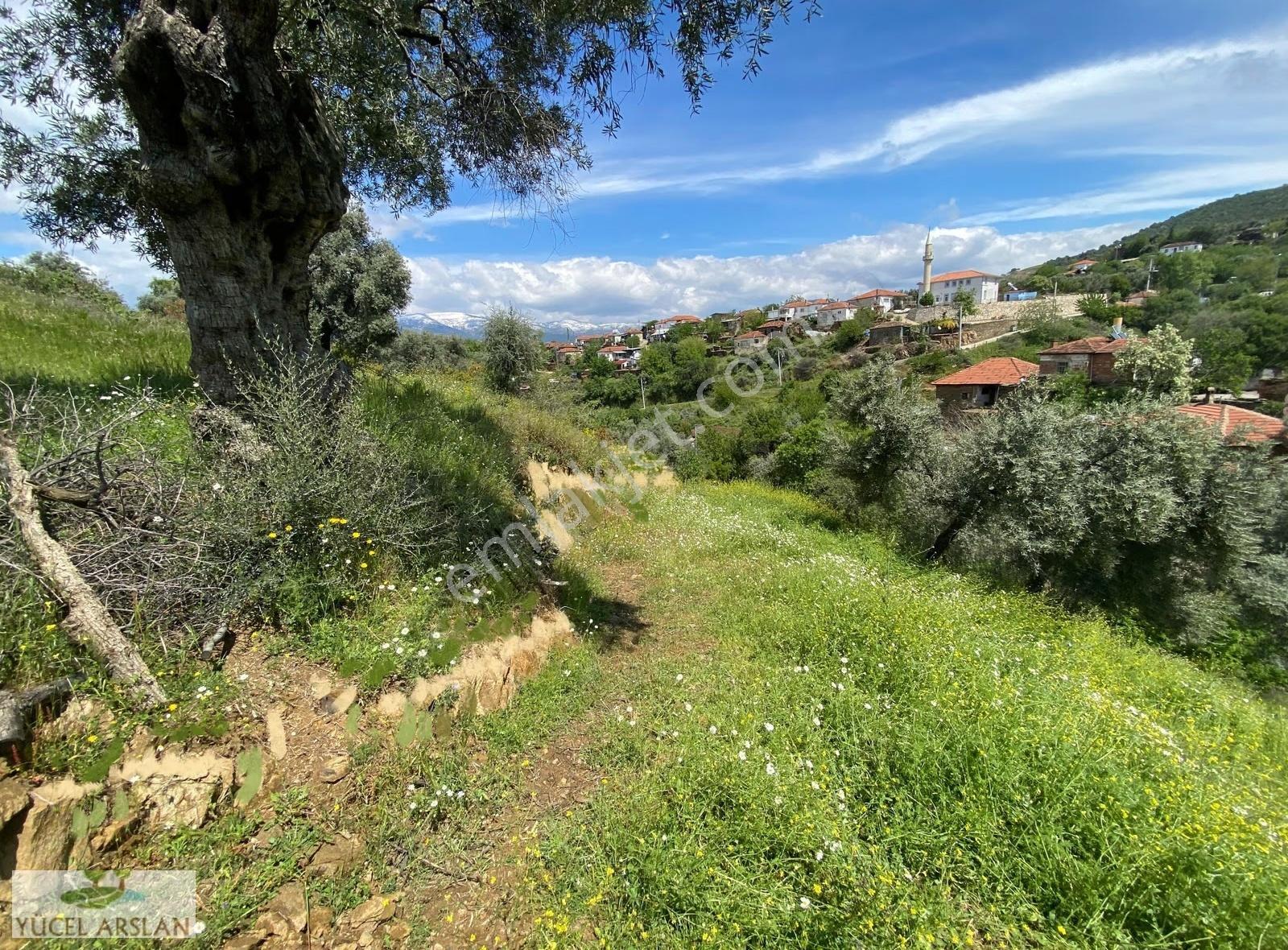 Bayındır Alanköy Köy Merkezinde 6.744 M2 Satılık Tarla Vebahçe - Görsel 27