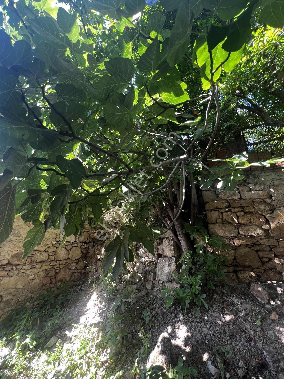 Çapak Merkezde Tek Tapu Villa İmarlı Arsa - Görsel 13