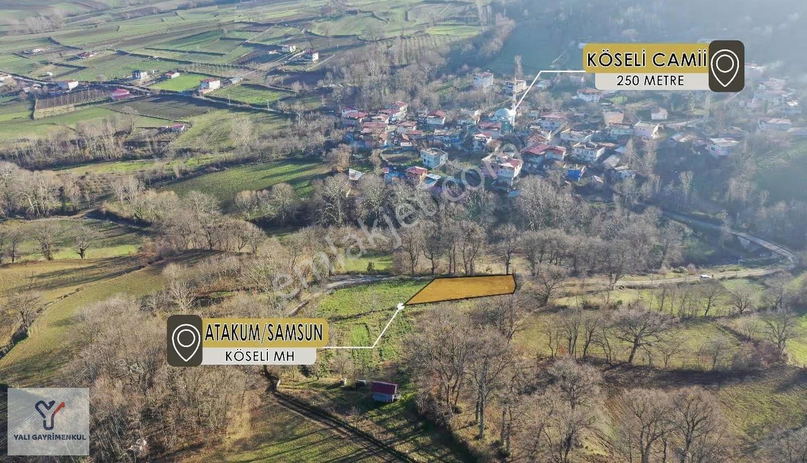 Yalı Gayrimenkul|köseli'de Resmi Ev Yapılabilen Fırsat Tarla - Görsel 6