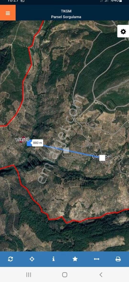 İzmir Çamlibel De Zeytinlik - Görsel 5