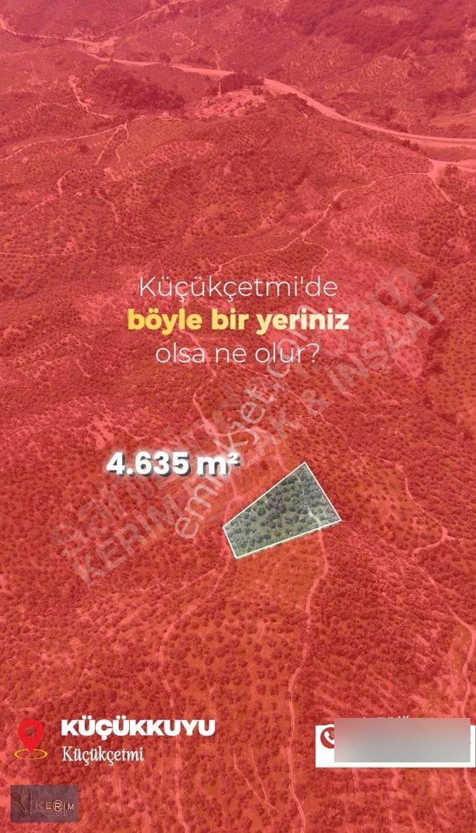 Küçükkuyu'da Deniz Manzaralı, Yola Cepheli 4.635 M² Zeytinlik - Görsel 4