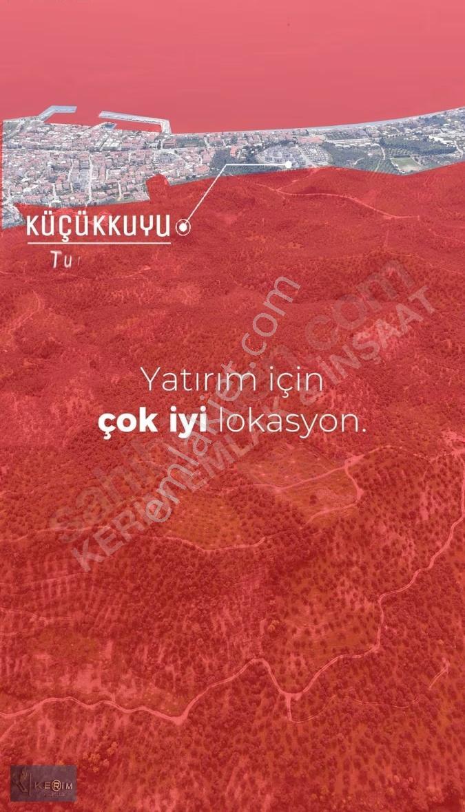 Küçükkuyu'da Deniz Manzaralı, Yola Cepheli 4.635 M² Zeytinlik - Görsel 8