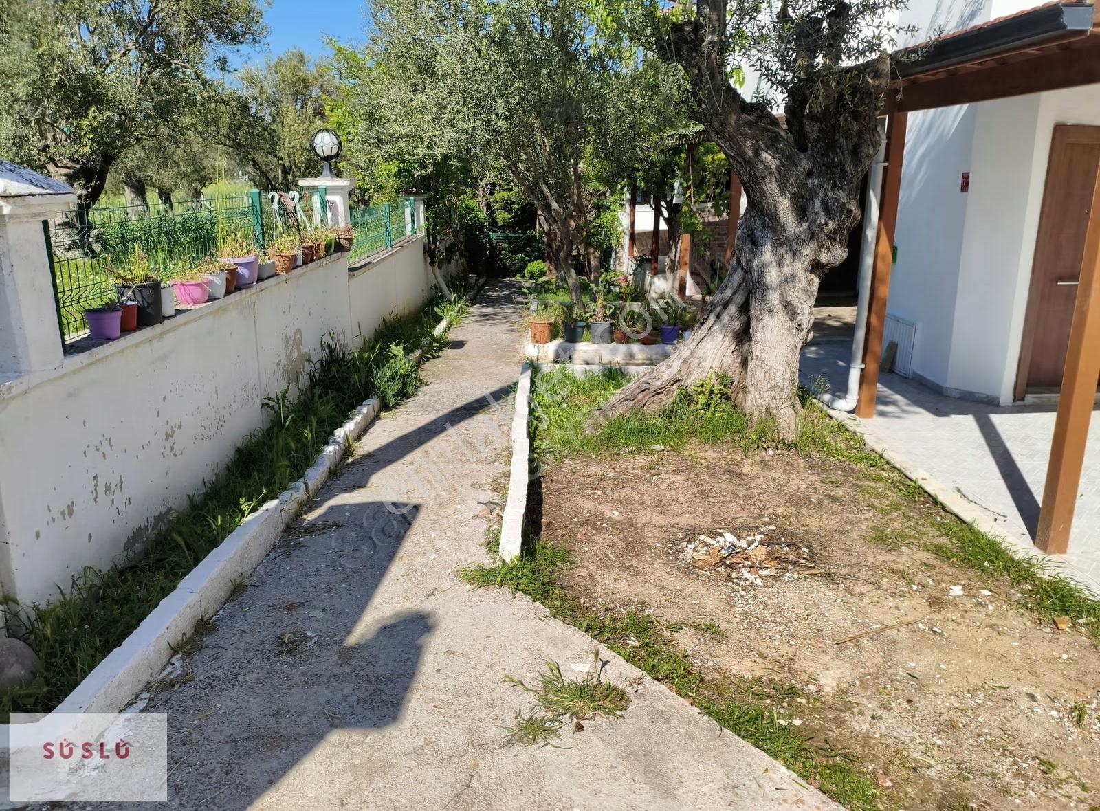 Ayvalık Küçükköy Sarımsaklı Plajlarında Kiralık 3+1 Villa - Görsel 11