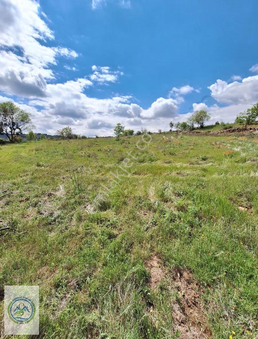 Denizli Çal Akkentte Resmi Yollu 4378m2 Tarla - Görsel 6