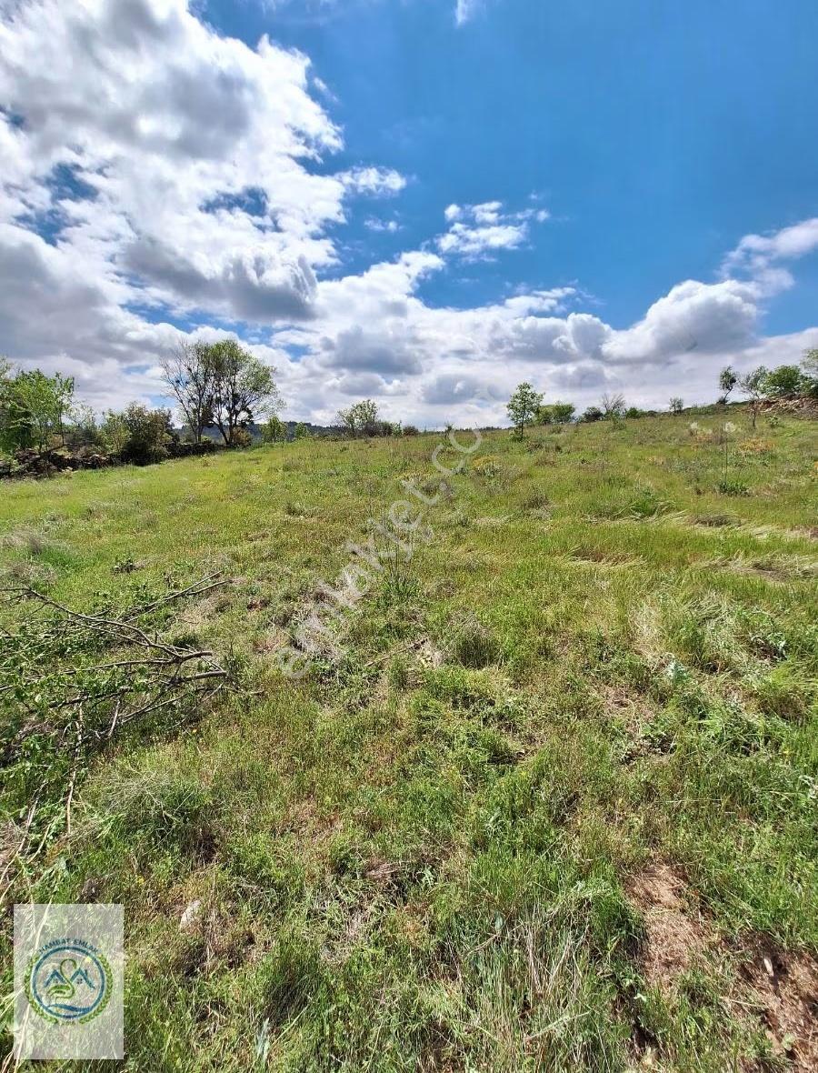Denizli Çal Akkentte Resmi Yollu 4378m2 Tarla - Görsel 7