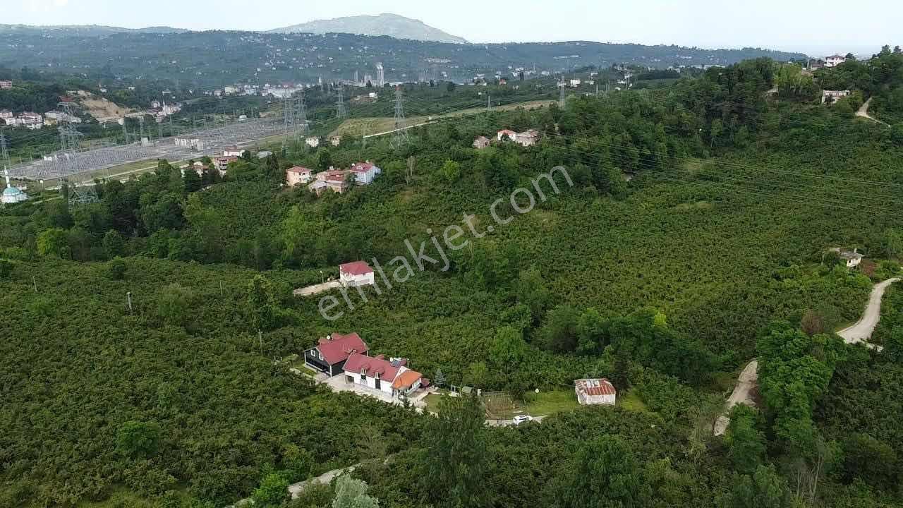 E.g.a Gayrimenkul Uzunisa 5800 M2 Fındık Bahçesi + 2 Adet Villa - Görsel 14