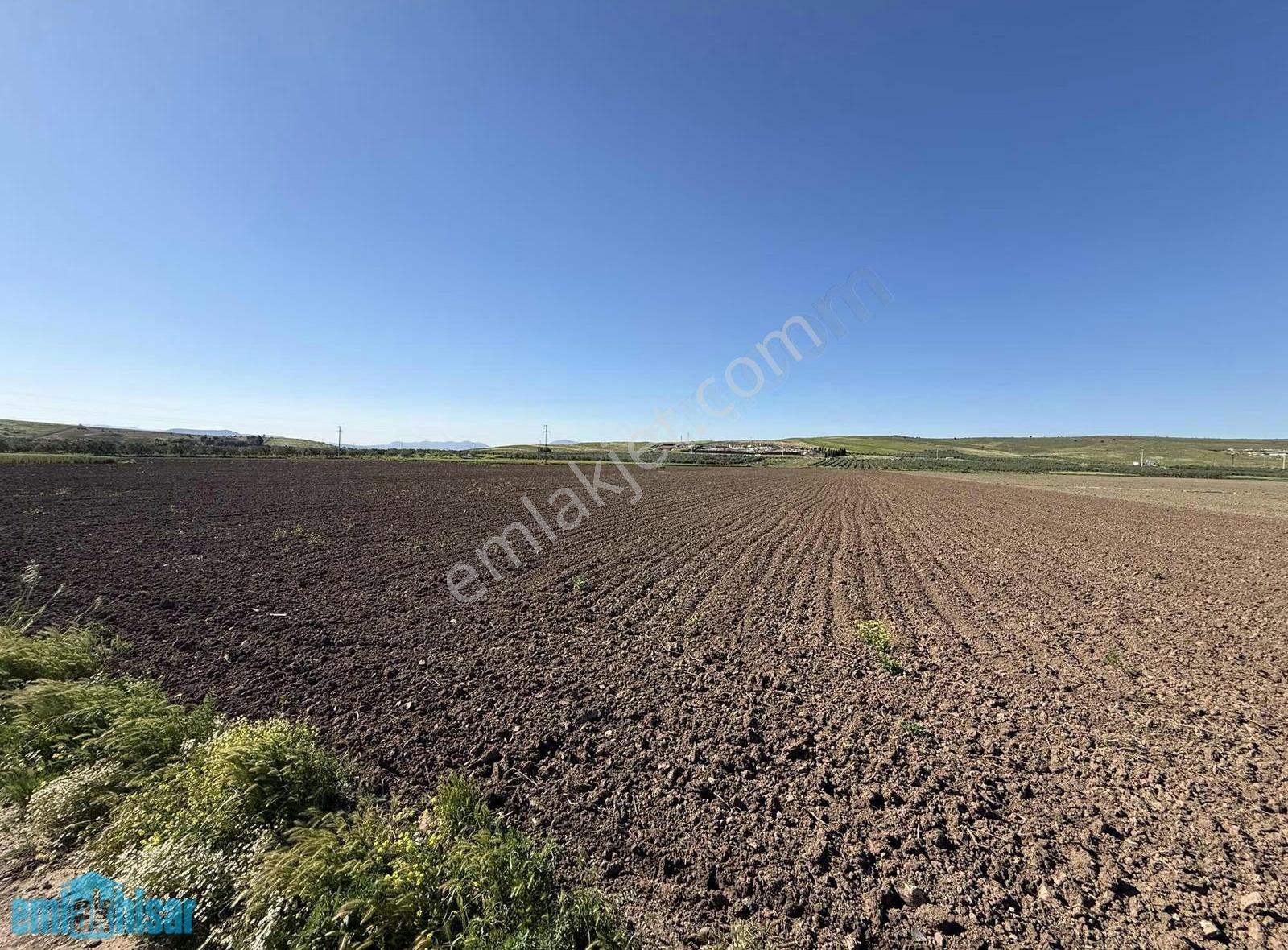 Akhisar Kayalıoğlu'nda Satılık Yola Cephe Tek Tapu 7600 M2 Tarla - Görsel 4