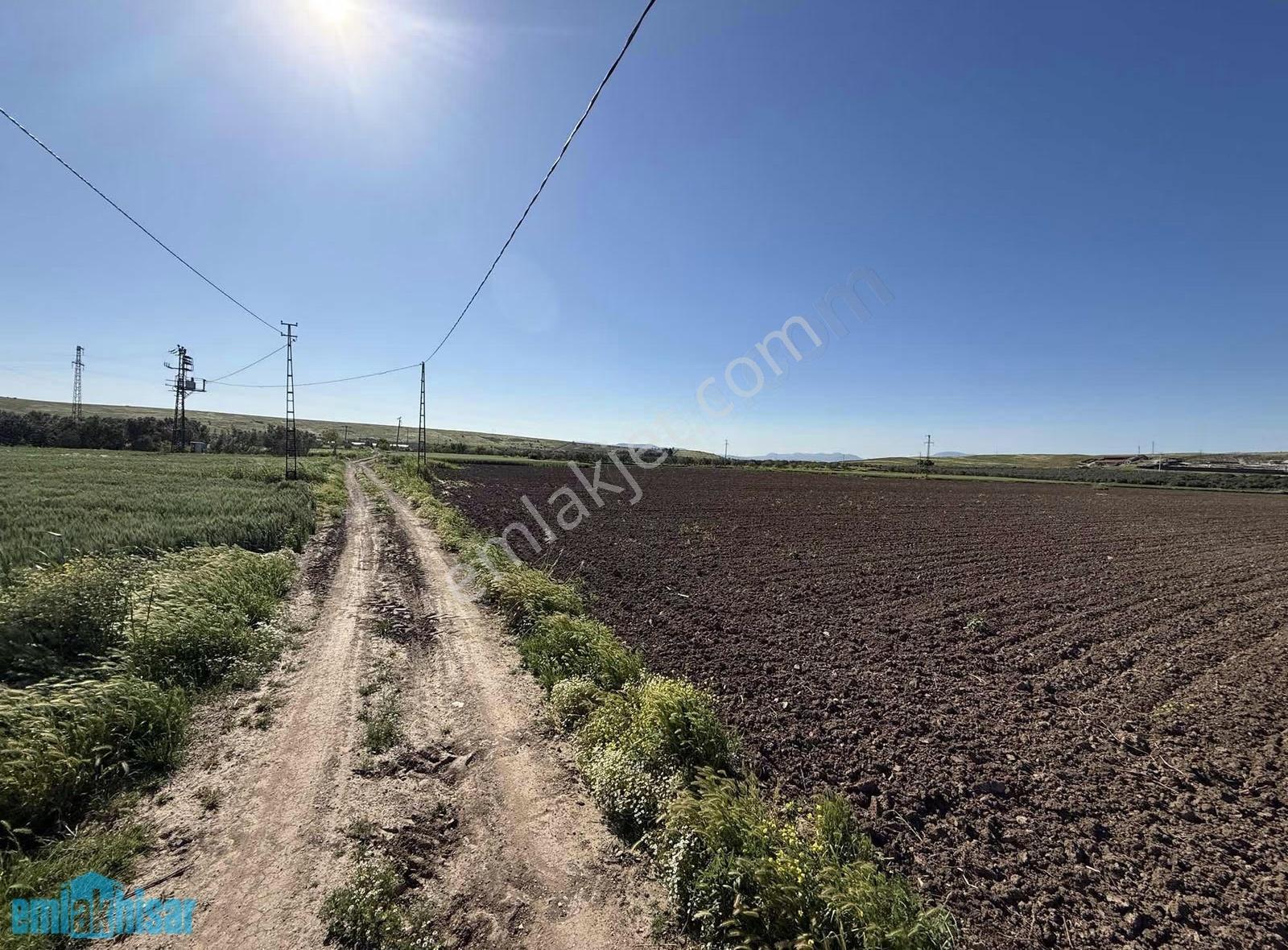 Akhisar Kayalıoğlu'nda Satılık Yola Cephe Tek Tapu 7600 M2 Tarla - Görsel 9