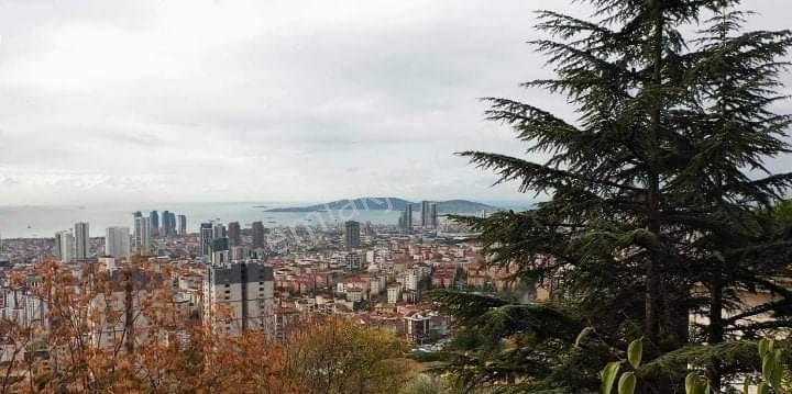 Yakacık Ayazma'da Deniz Manzaralı, İmarlı 445m2 Arsada Taş Ev - Görsel 2