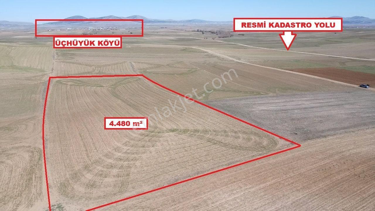 Kütahya Altıntaş Üçhüyük 4480 M2 Satılık Tarla - Görsel 7
